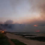 image018-150x150 Feuer in der Gordons Bay